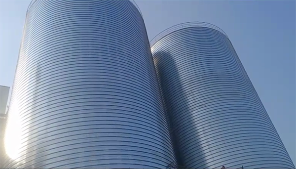 江城2座混凝土高架卷板仓